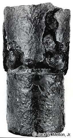 3.8-inch James Canister